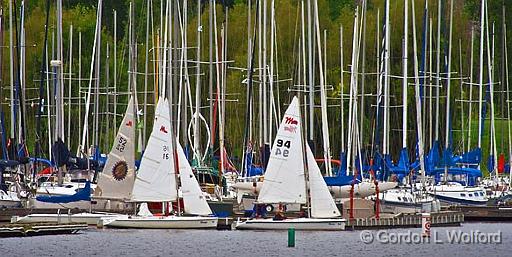 Nepean Sailing Club_51476.jpg - Photographed at Ottawa, Ontario, Canada.
